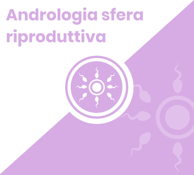 Andrologia sfera riproduttiva